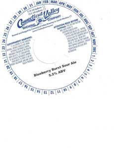 Connecticut Valley Brewing Company Blueberry Burst Sour Ale March 2023