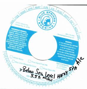 Blue Springs Brewery Below Sea Level Hazy IPA