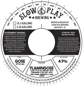Slow Play Brewing Flamingose March 2023