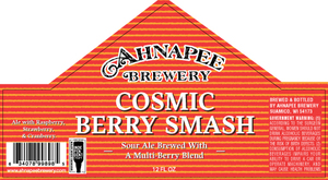 Ahnapee Brewery Cosmic Berry Smash