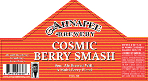 Ahnapee Brewery Cosmic Berry Smash