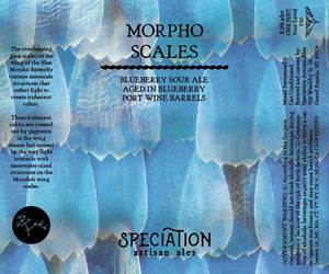 Speciation Artisan Ales Morpho Scales
