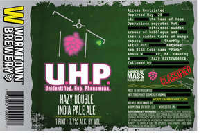 U.h.p Unidentified. Hop. Phenomena. April 2023