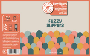 Fuzzy Slippers 