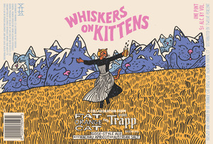Fat Orange Cat Whiskers On Kittens April 2023