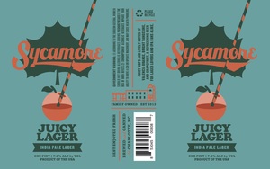 Sycamore Juicy Lager April 2023