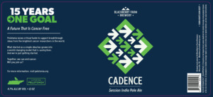 Blackberry Farm Brewery Cadence