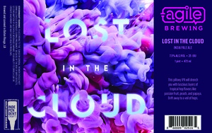 Agile Brewing Lost In The Cloud April 2023