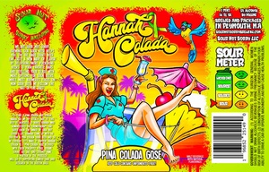 Sour Not Sorry Brewing Hannah Colada, Pina Colada Gose