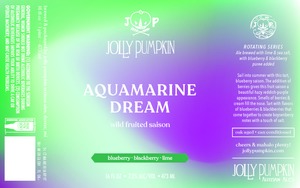 Jolly Pumpkin Artisan Ales Aquamarine Dream