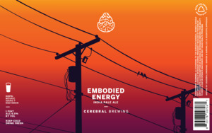 Embodied Energy 