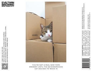Evil Twin Brewing New York City You're Not A Real New York Brewery Until The Neighborhood Cat Decides To Move In April 2023