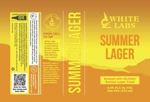 White Labs Summer Lager Wlp830 German Lager Yeast