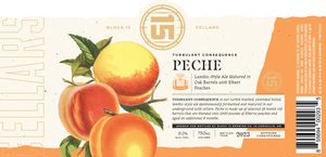 Block 15 Brewing Co. Turbulent Consequence, Peche