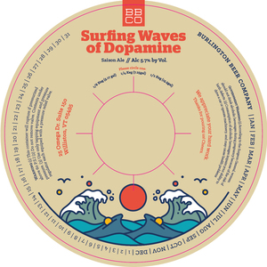 Surfing Waves Of Dopamine 