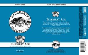 Wachusett Blueberry Ale