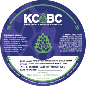 Kings County Brewers Collective This Is Your Brain On Hops: Citra & Strata