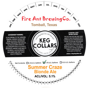 Summer Craze Blonde Ale 