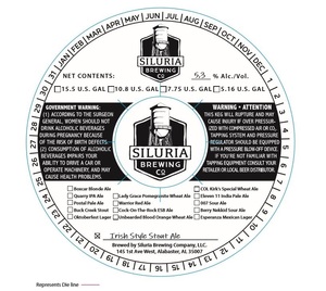 Siluria Brewing Irish Style Stout Ale