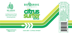 Citrus Surfer Citrus Lime