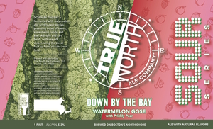 True North Ale Company Down By The Bay
