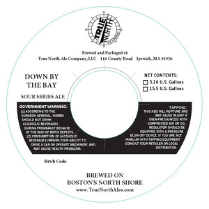True North Ale Company Down By The Bay
